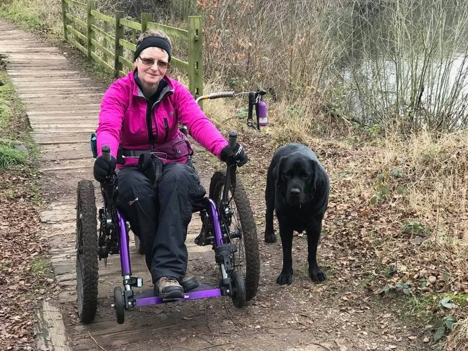 Off Road Wheelchair Dog Walk