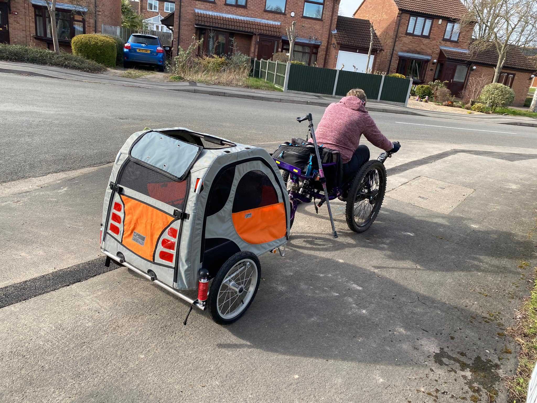 Mountain Trike pet trailer