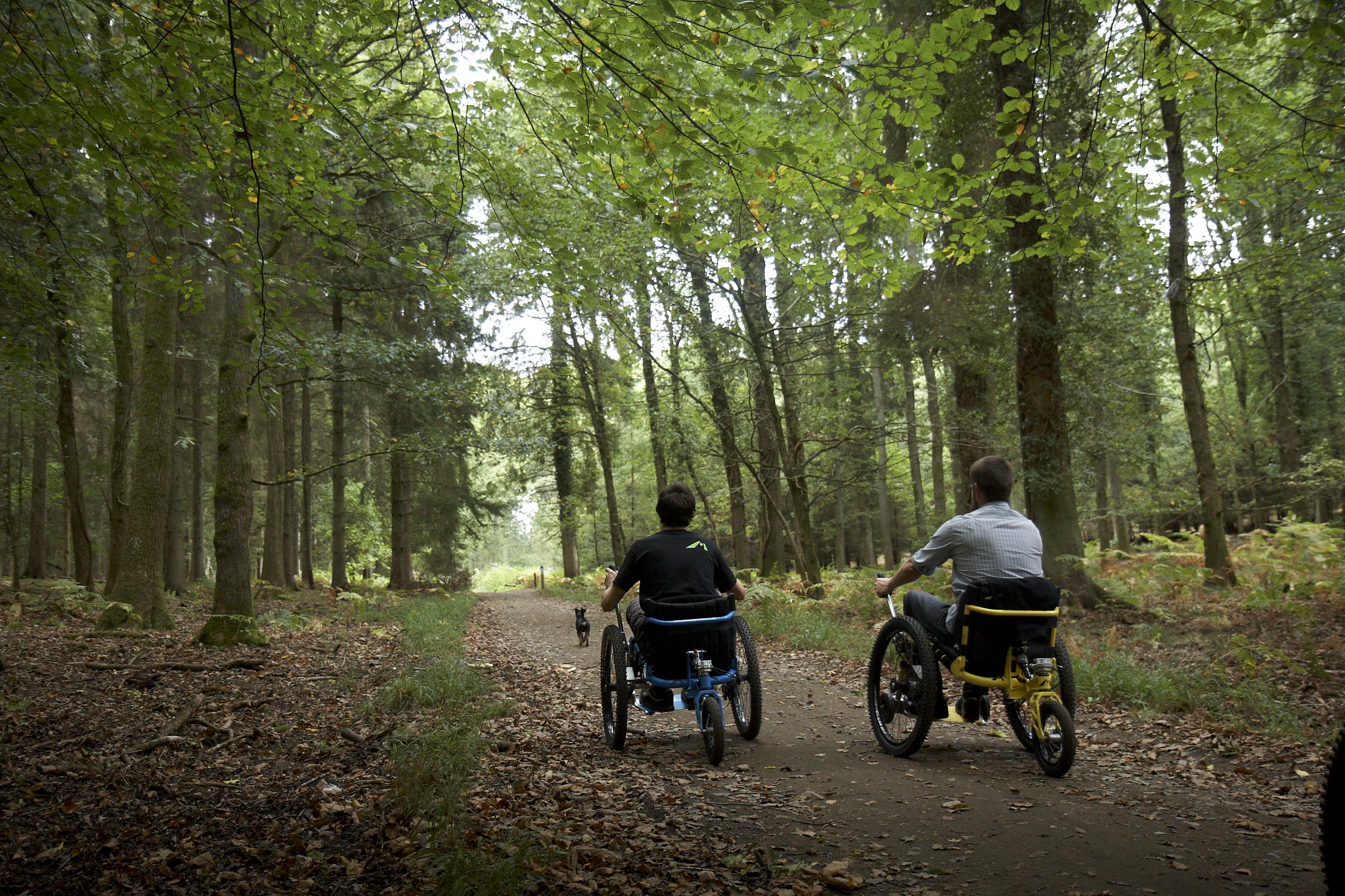 Mountain Trike wheelchair woodlands