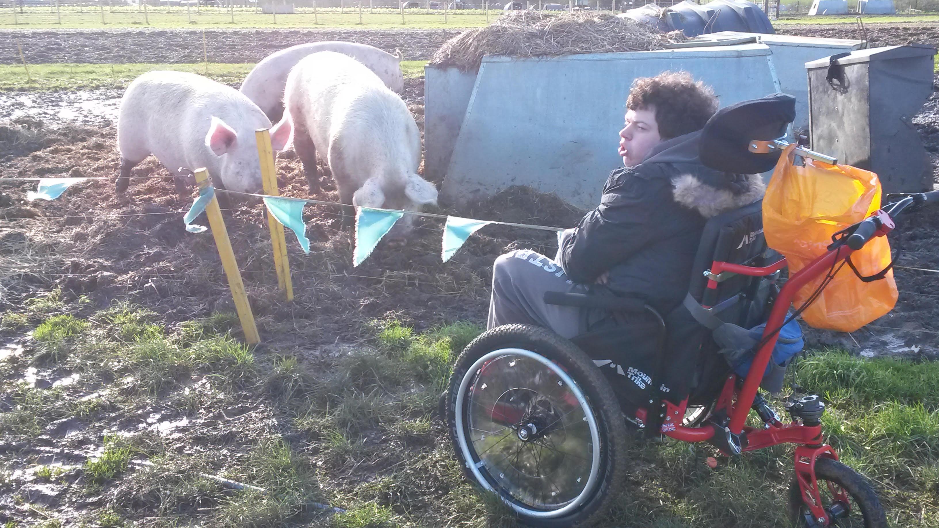 Not so sure about these smelly pigs!
