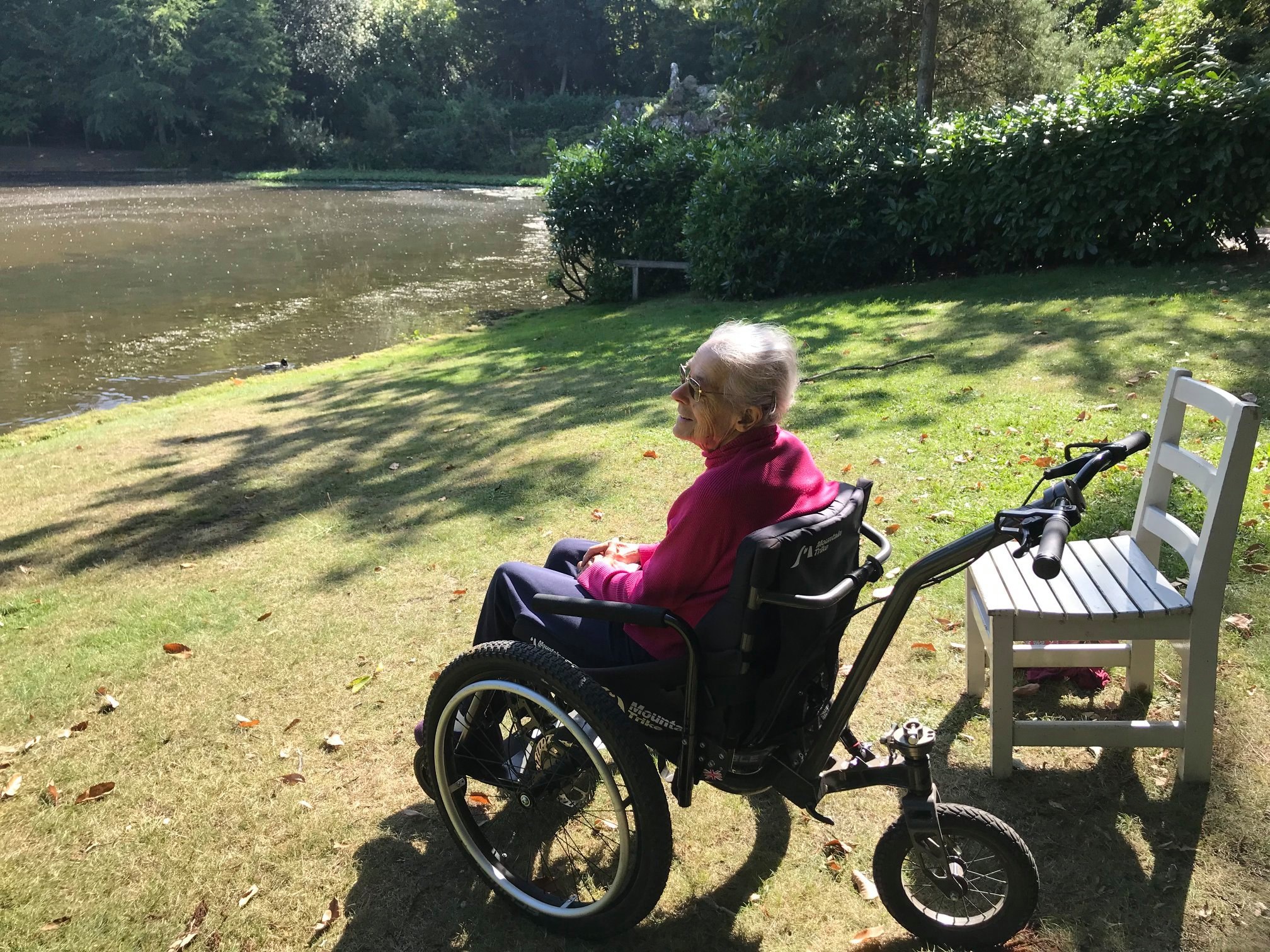 Visitors to National Trust Claremont Landscape Garden in Esher, UK - MT Push