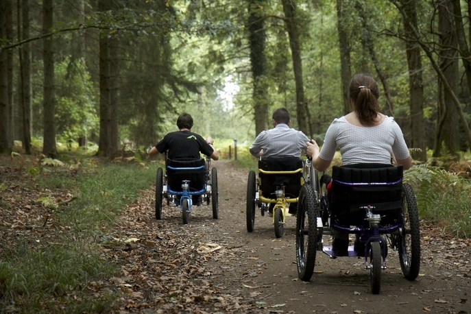 All-terrain wheelchairs to open up Ferry Meadows in Peterborough to visitors