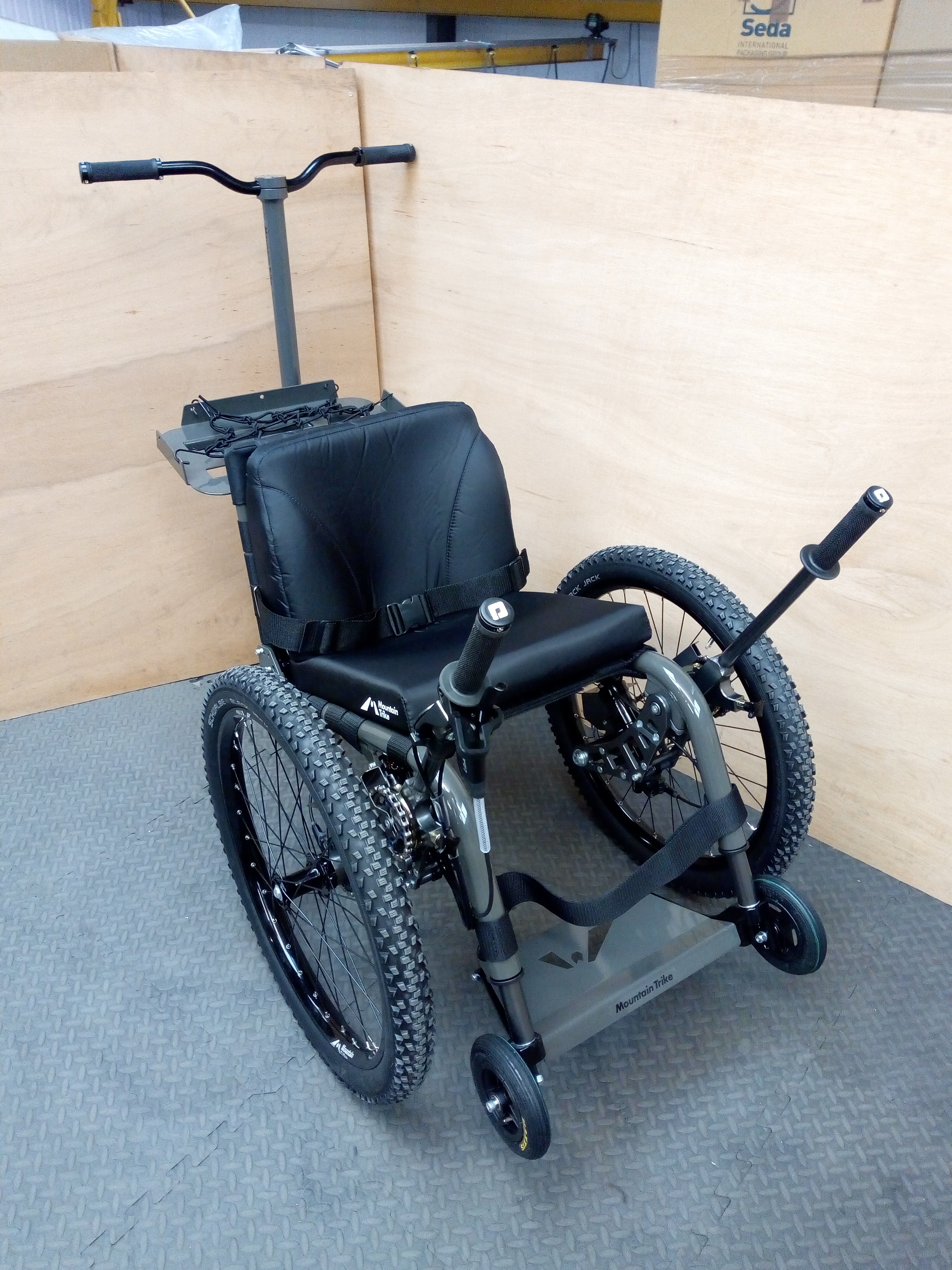 Pioneer Medical Mountain Trike demo model