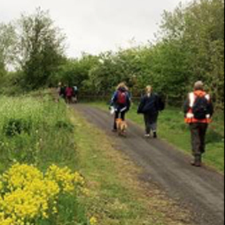 Surrey - Black Water Path