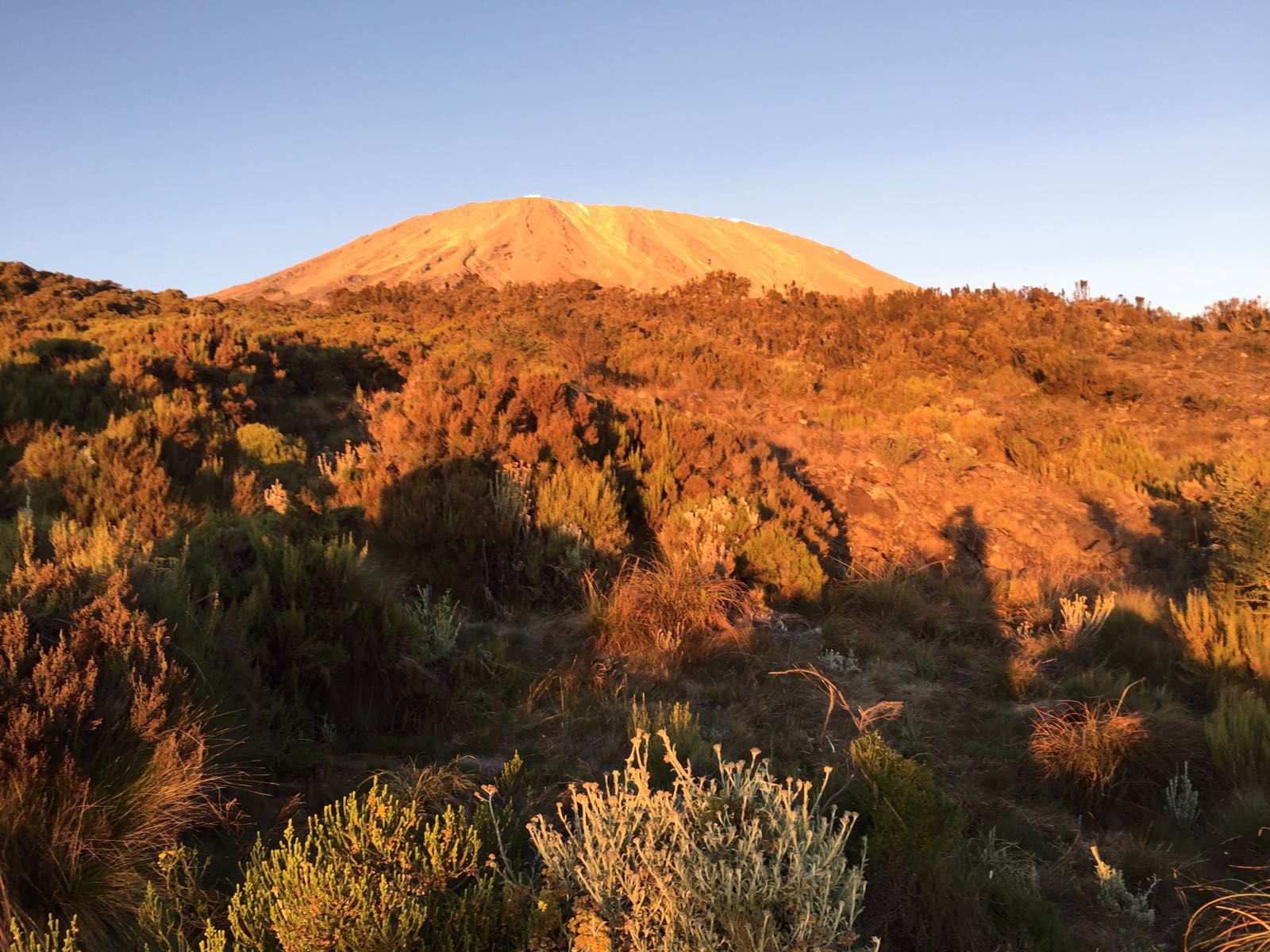 The beauty of Mt Kilimanjaro