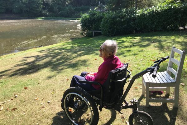 Visitors to National Trust Claremont Landscape Garden in Esher, UK - MT Push