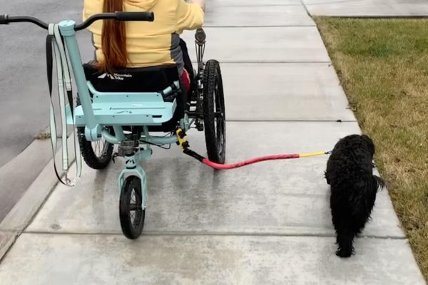 Nalani, USA, Mountain Trike