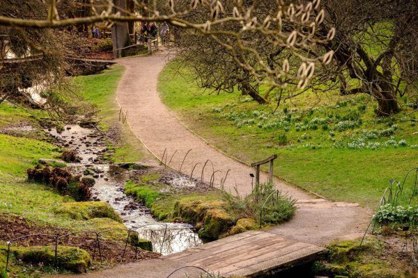 Mountain Trike customer review of wheelchair accessible routes in Sussex