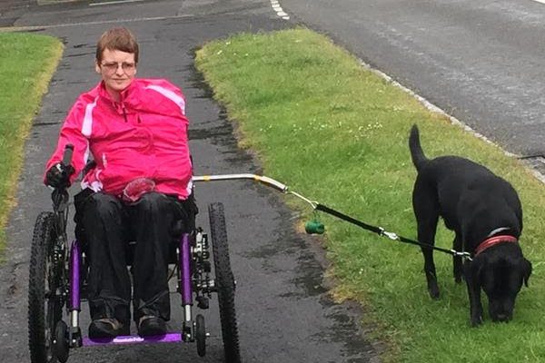 Wheelchair dog walking lead set