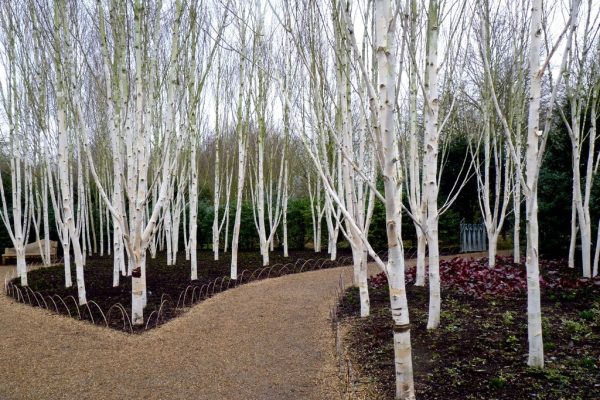 Anglesey Abbey National Trust in Cambridge receives MT Push