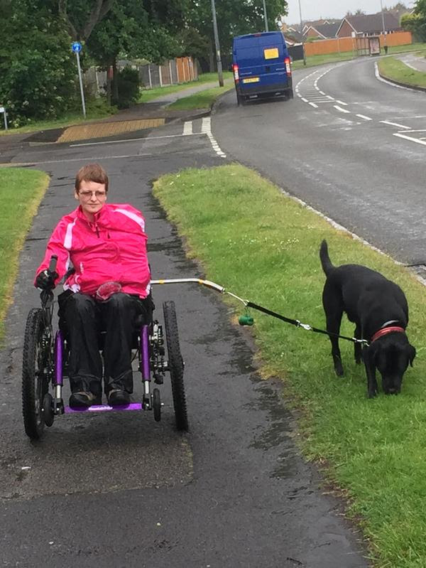 Wheelchair dog walking lead set