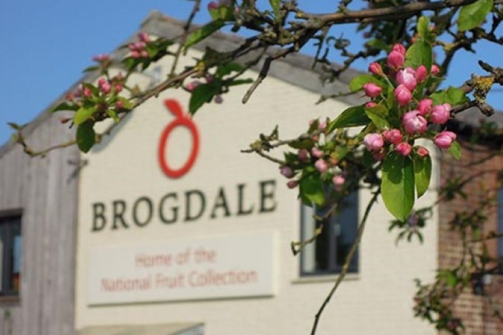 Brogdale Collections