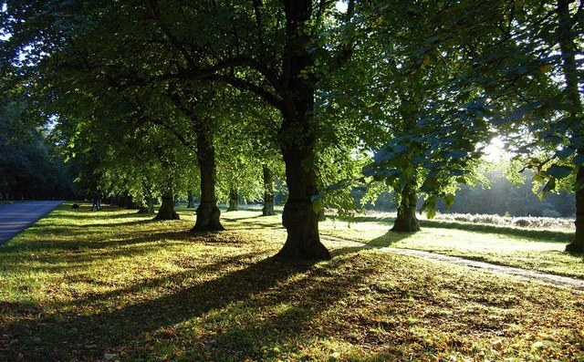 Clumber Park 