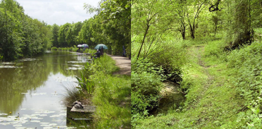 Nottinghamshire - Cotgrave County Park