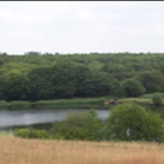 Derbyshire & Peak District - Williamthorpe Local Nature Reserve (LNR)