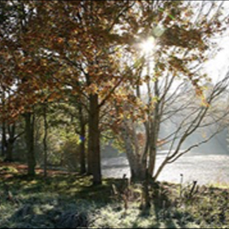 Berkshire - Pope's Meadow