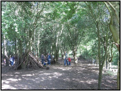 Warwickshire - Ryton Pools Country Park